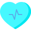 Heart Rate icon