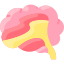 Brain icon