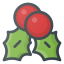 Mistletoe icon