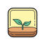 aplicación forestal icon