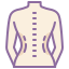 Female Back icon