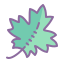 Maple Leaf icon