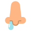 Snot icon