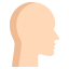 Head icon