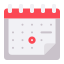 Date icon