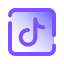 TikTok icon