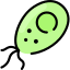 Bacteria icon