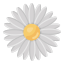 Flower icon