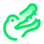 Alligator icon