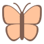 Schmetterling icon