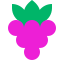 Grapes icon