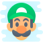 luigi icon