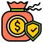 Money Protection icon