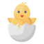 Цыпленок icon