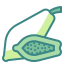 Papaya icon