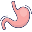 Anatomy icon