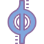 quantum_honkai-star-rail icon