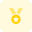 Star medal awarded for the performance in army icon