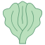 Lechuga icon