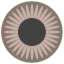 Brown Eye icon