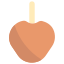 Caramelized Apple icon