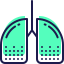 Pulmones icon