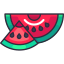 Water Melon icon