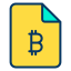 Bitcoin File icon