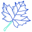 Maple icon