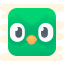 Duolingo-Logo icon