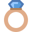 Diamond Ring icon