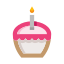 Birthday Cupcake icon