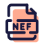 NEF icon