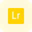 Lightroom a family of image organization and image manipulation software developed by Adobe icon