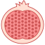 Pomegranate icon