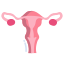 Uterus icon