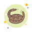 响尾蛇 icon
