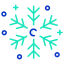 Snow Flakes icon
