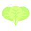 Oregano icon