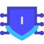 Internet-Sicherheit icon