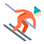 Alpine Skiing Skin Type 1 icon