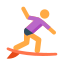 surf-piel-tipo-2 icon