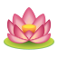 lotus-emoji icon