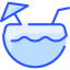 Coconut Drink icon