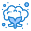 Cauliflower icon