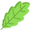 Oak Leaf icon