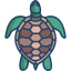 Tortue icon