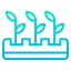 Plants icon