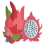 Drachenfrucht icon