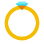 Ring von der Seite icon